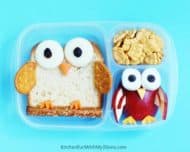 20 Surprisingly Easy Lunch Ideas Your Kids Will Love