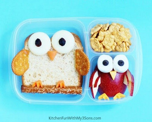 owl bean pinto lunch 