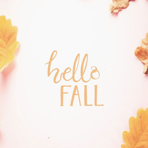 How to Easily Add Fall Home Decor on a Budget