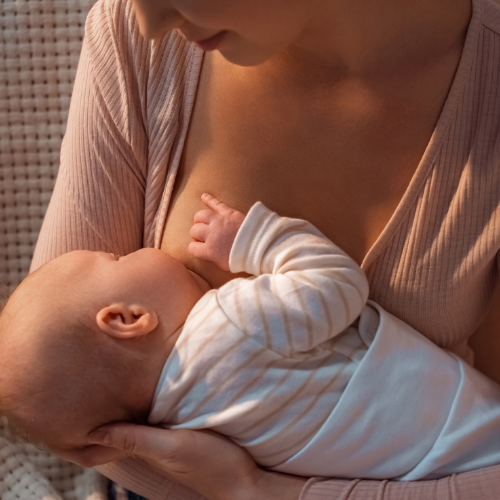 Top Foods To Loose Weight When Breastfeeding and Not Milk Supply