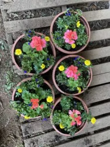 FLOWER CONTAINER IDEAS FOR PATIO 